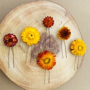 Set of 5 - Autumn hair pins, Orange hair pins, wedding hair pins, Single flower hair pins, dried flower hair pins, Orange Strawflower