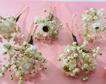 Daisy and gypsophila hair pins, Bridal hair accessory, Dried flower hair pins, wedding hair pins, festival hair, prom hair pins