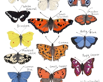British Butterflies print