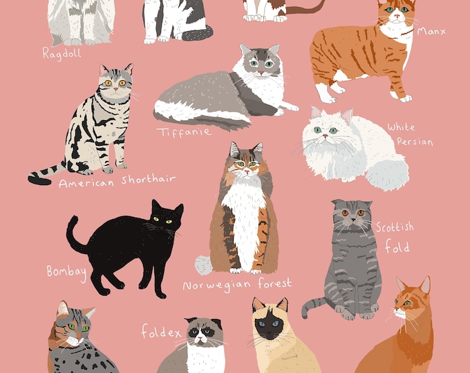 Illustrated Cat Print - Etsy