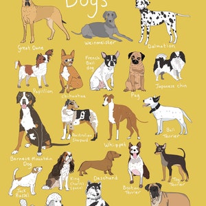 Illustrated Dog Print A3