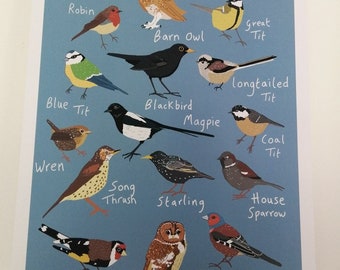 Impression illustrée d'oiseaux britanniques A3