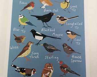 May include: A blue poster with illustrations of British birds, including a robin, barn owl, great tit, blue tit, blackbird, magpie, coal tit, wren, song thrush, starling, house sparrow, chaffinch, goldfinch, and tawny owl. The poster has the text "British Birds" at the top.