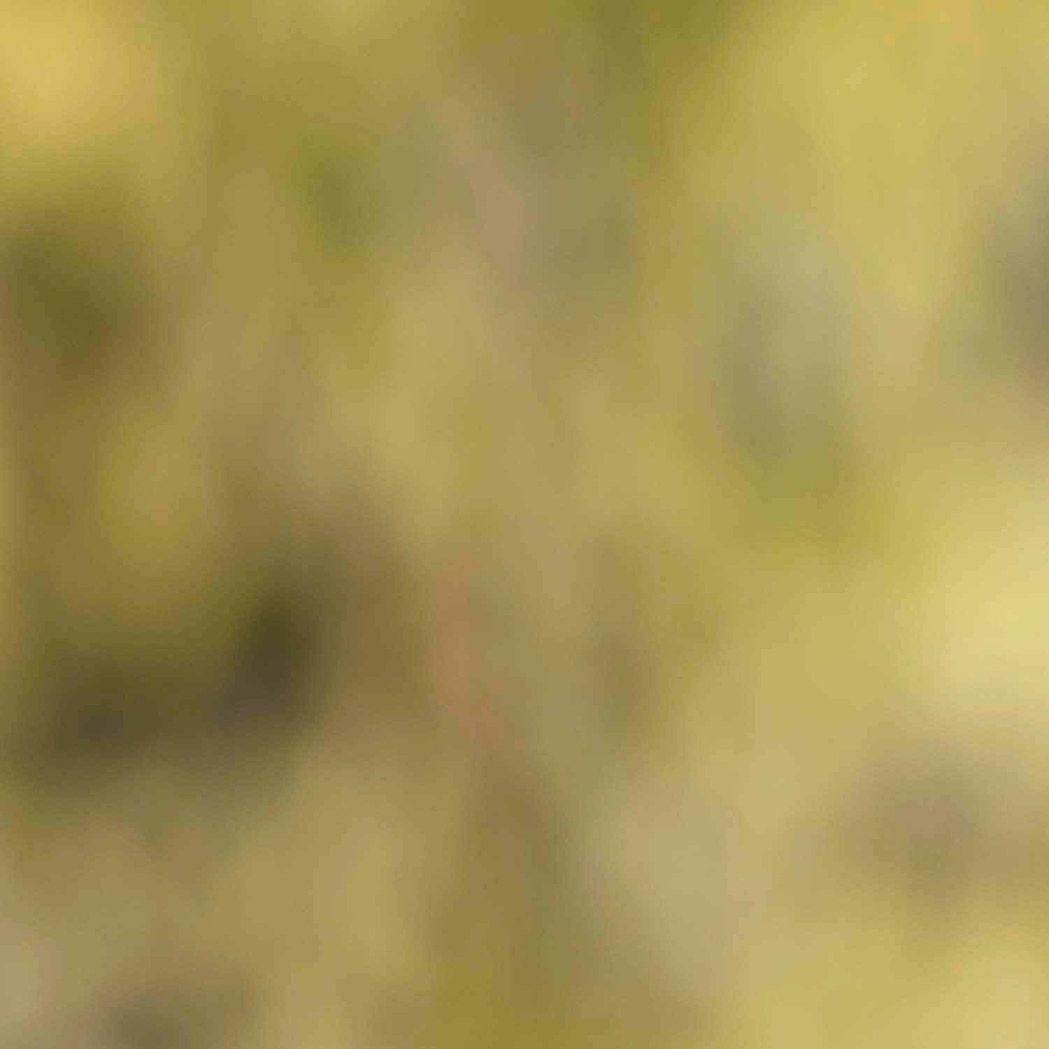 Overlays Photo Overlay Photoshop Overlays Textures for | Etsy