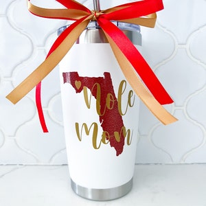 Florida State University Custom Cups - FSU Tumblers, Personalized College Gift, Acceptance Gifts, FSU Bed Party, Teen Stocking Stuffers