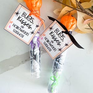 May include: Two clear plastic tubes filled with chocolate candies and black spider rings. Each tube has a tag attached with the text "Bugs, Kisses, and Halloween Wishes!" The tubes are topped with orange pumpkin-shaped toppers.