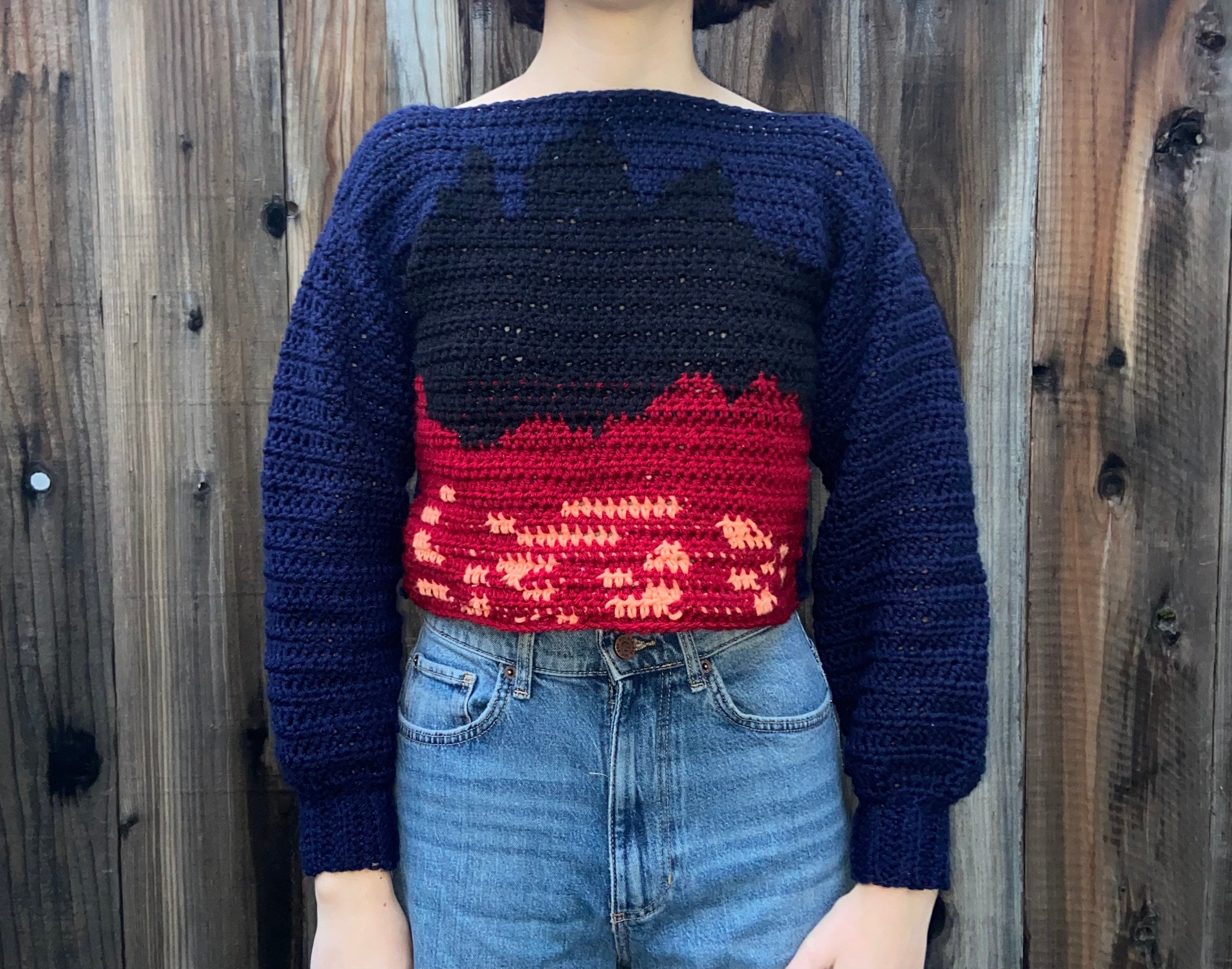 Punisher by Phoebe Bridgers Inspired Long Sleeve Sweater - Etsy UK