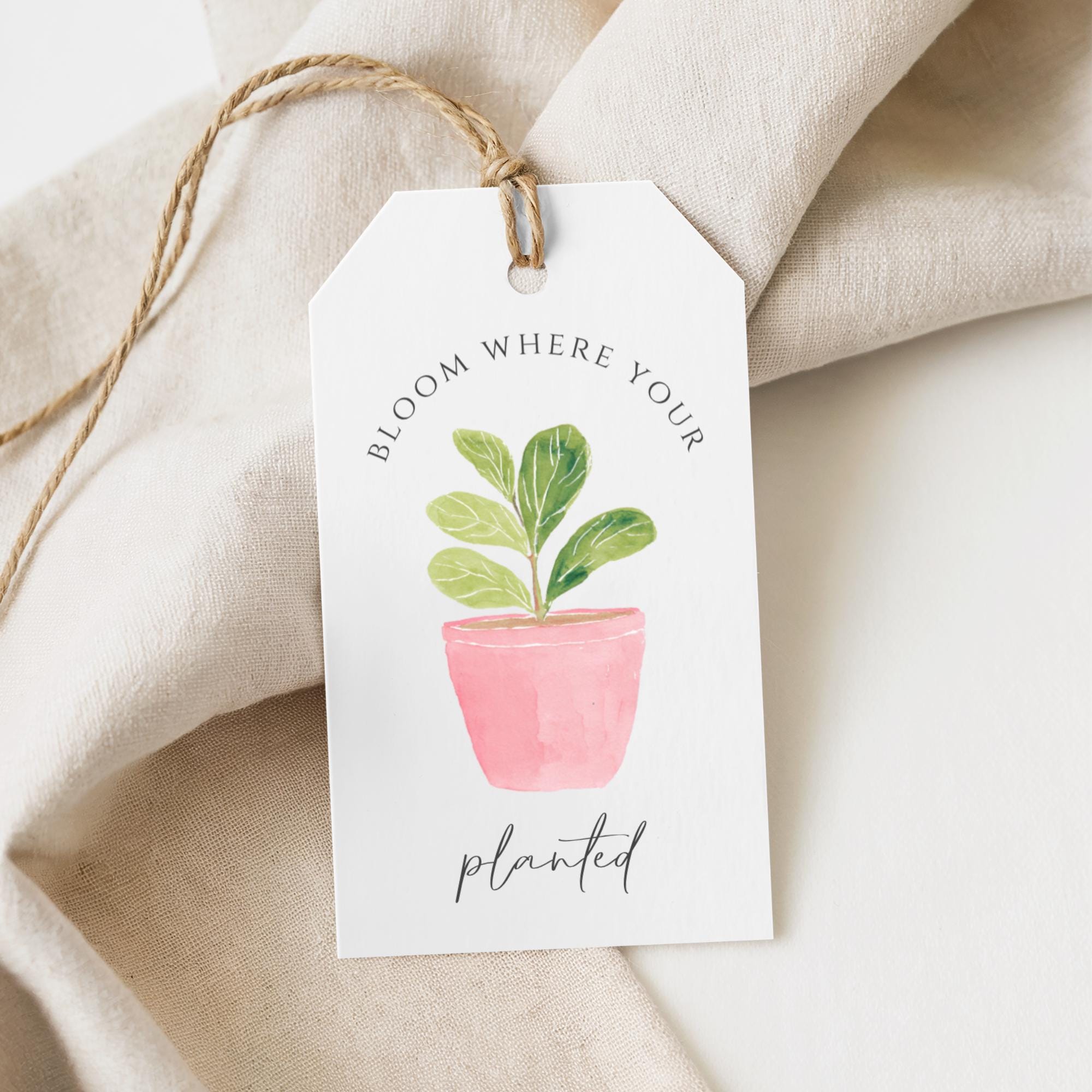 Planted By Tags Example Bloom Where You’re Planted Gift Tag | Housewarming Plant Tag ...