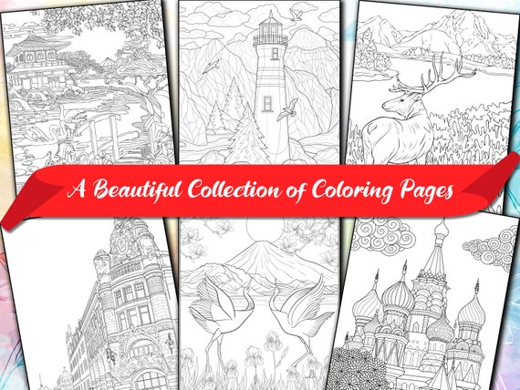 Color Comfort Adult Coloring Books - Office Depot