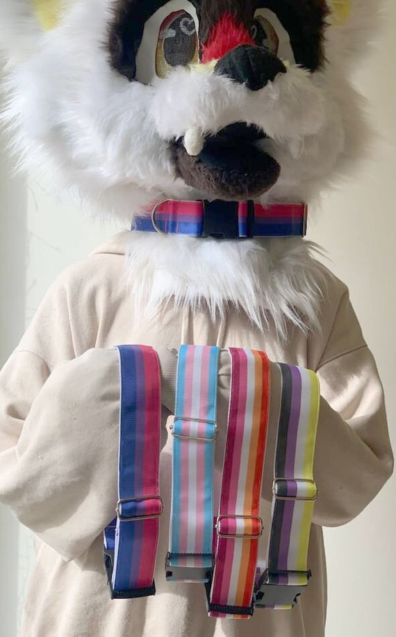 Pride Flags Fursuit Collar