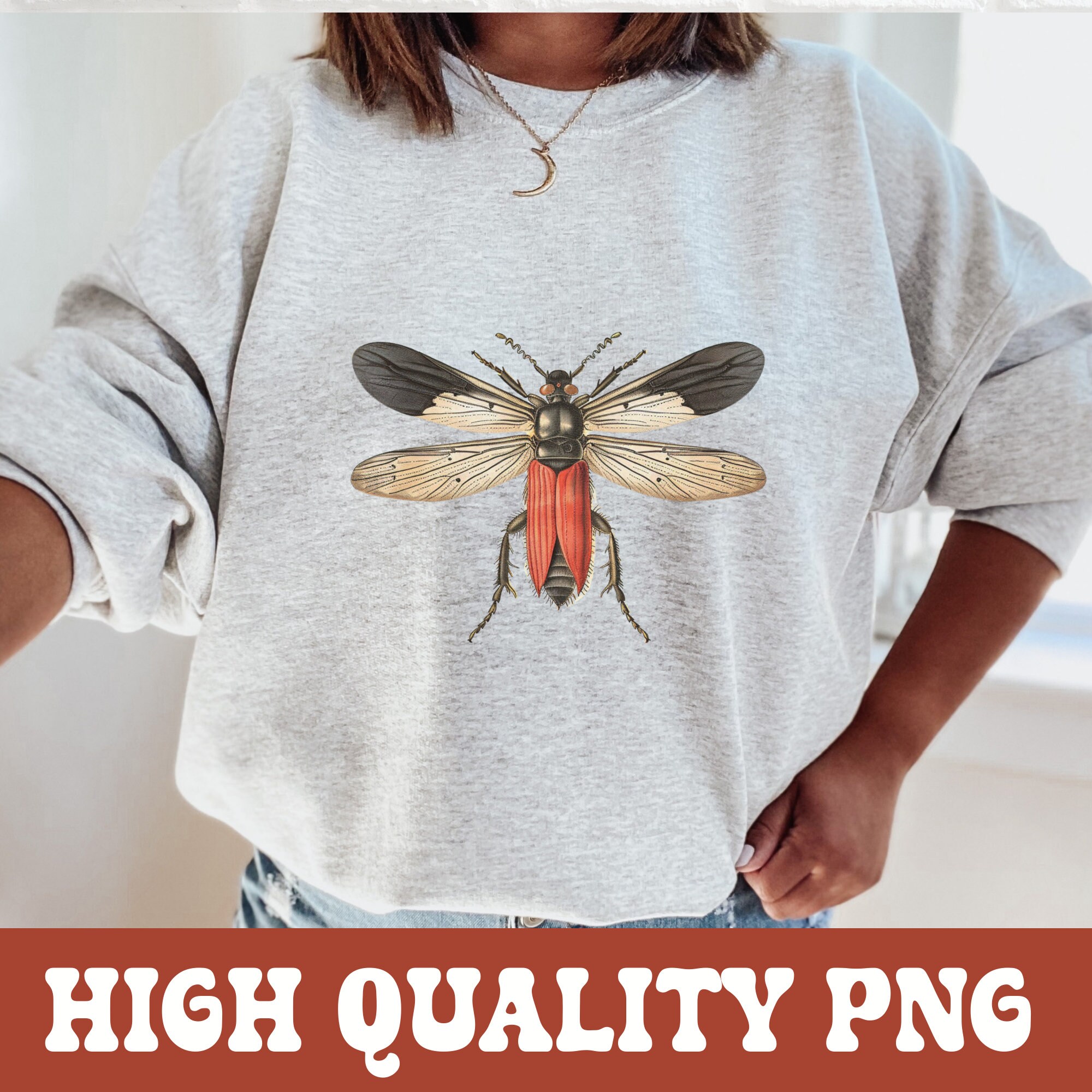 Vintage Bug Clipart, Insect Clipart Bundle, Ephemera Antique Insect ...