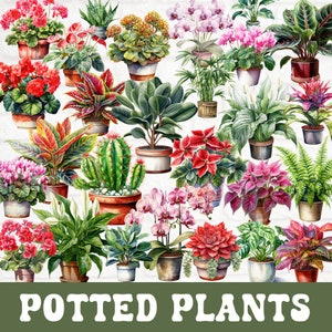 Zimmerpflanzen-Clipart-Bundle, Zimmerpflanze im Topf Aquarell, Plant Mom Clipart, Zimmerpflanze, Pflanzen Clipart, Scrapbook, Pflanzendekor, Pflanzenliebhaber