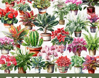 Houseplant Clipart Bundle, Houseplant in pot watercolor, Plant mom Clipart, Indoor Plant, Plant Clipart, Scrapbook, Plant Decor, Plant Lover