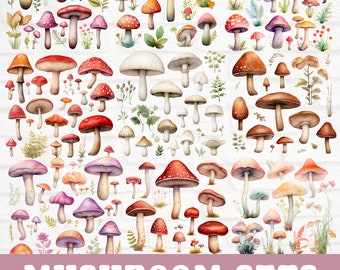 Aquarell Pilze Clipart, Zauberwald Illustration, Fliegenpilz Grafiken, Pilz Bundle, Pilze Clipart Bundle, Fee Clipart Bundle