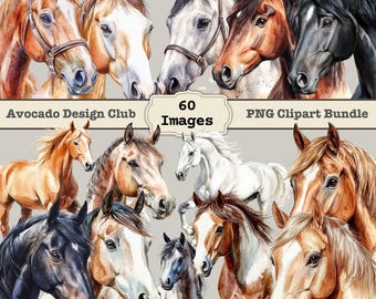 Watercolor Horse Clipart Bundle, Horse PNG, Foal Clipart Pony PNG Commercial License Equestrian Clipart Horse Art Clipart, Horse Sublimation