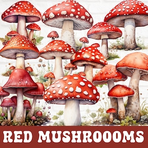 Bundle aquarelle champignon, sublimation png champignon rouge, clipart champignon magique, lot de clipart fée du printemps, lot de clipart champignons