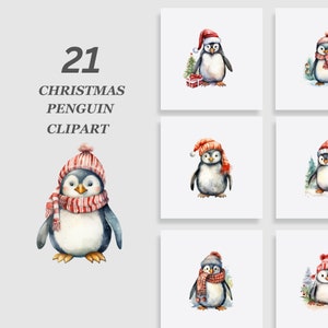 Christmas Penguin Clipart Bundle, Holiday Penguin Clipart, Winter Animal PNG, Cute Penguin Clipart, Christmas wall art, Baby Penguin Clipart