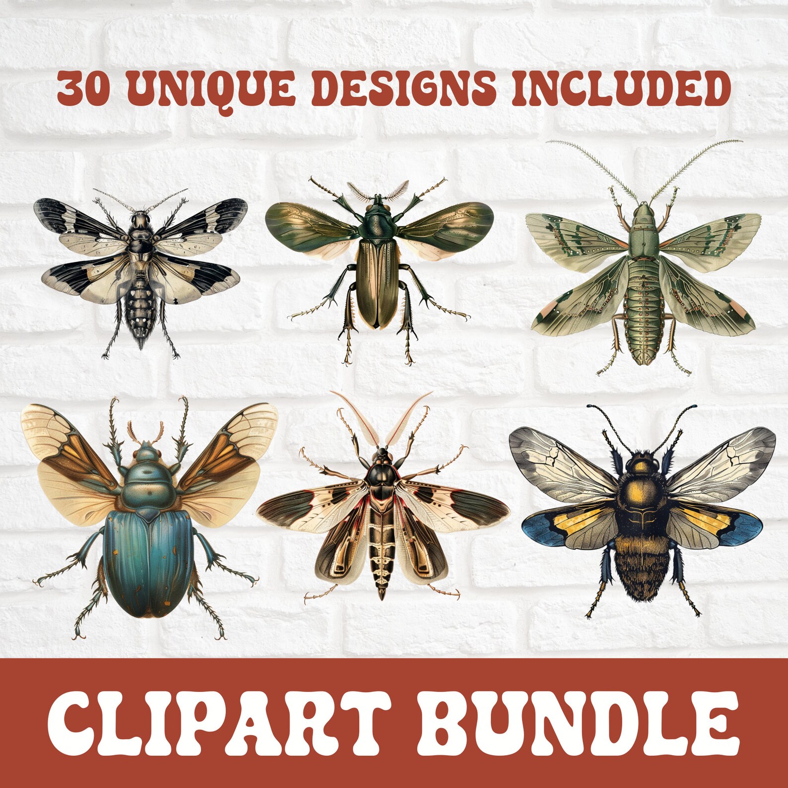 Vintage Bug Clipart, Insect Clipart Bundle, Ephemera Antique Insect ...