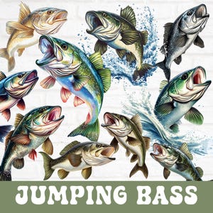 May include: A digital illustration of nine jumping bass fish with various colours and patterns. The fish are jumping out of the water, with splashes of water around them. The text "JUMPING BASS" is at the bottom of the image.