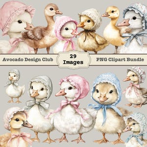 Silly Goose Clipart Spring Vintage Cottagecore Whimsical Cute Watercolor Commercial Use Birthday Party Baby Shower Wildflowers Balloons PNG