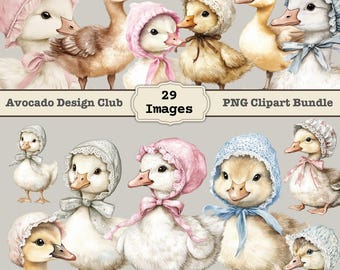 Silly Goose Clipart Spring Vintage Cottagecore Whimsical Cute Watercolor Commercial Use Birthday Party Baby Shower Wildflowers Balloons PNG