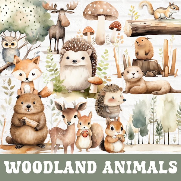 Woodland Animal Watercolor Clipart, Cute Forest Animal Clipart, Baby Animal Clipart Bundle, Deer, Fox, Squirrel, Owl, Hedgehog Clipart PNG