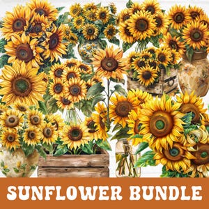Sunflower Clipart Bundle, Watercolor Sunflowers Clipart, Sunflower PNG Clipart, Floral Clipart Bouquet, Sunflower Wreath Sublimation
