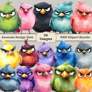 Grumpy Birds Clipart Bundle Cute Fluffy Birds, Digital Clipart, Bird Watercolor clipart, Quirky Bird Clipart Bundle Bird Printable clipart