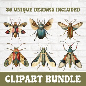 Vintage Insect Clipart, Bug Clipart Bundle, Antique Insect Clip Art ...