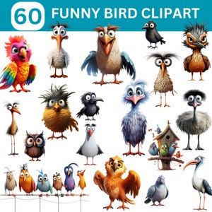 Cute Bird Clipart, Funny Bird Clipart Bundle, Goofy Bird Clipart, Quirky Bird PNG, Funny Bird Illustrations, Digital Download