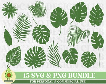 Tropische Blätter SVG Bundle, 15 tropische Blätter SVG, Monstera Blatt svg, Palmzweig svg, Dschungel Blätter svg, Tropische Blätter PNG, Cricut