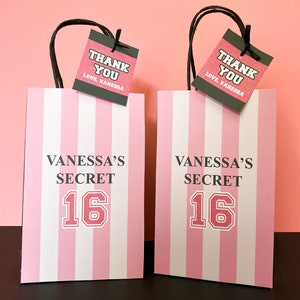 Teen Girl PINK Bags - Sweet 16 Pink - Pink Bachelorette - Engagement Celebration - Party Favors - VS - Pink Birthday Party - Girl Sleepover