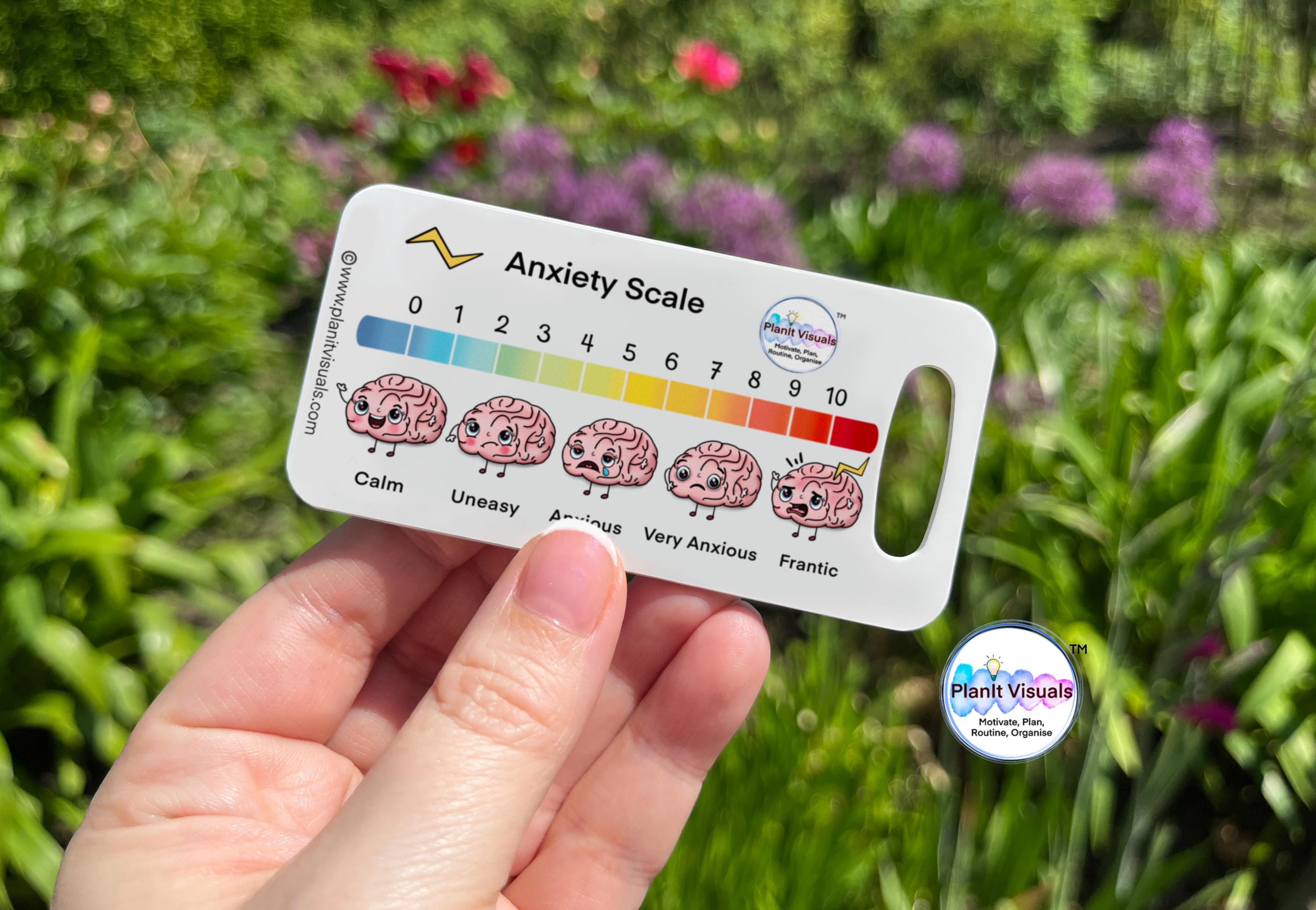 Anxiety Scale Visual Communication Card - Mental Health Support Tool ...
