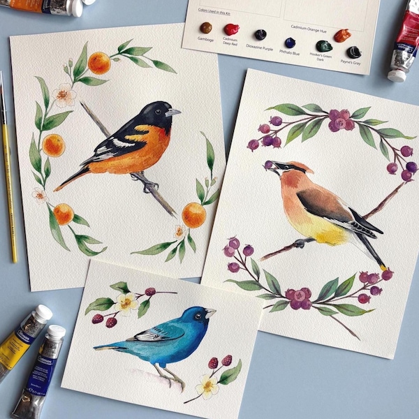 Kit de pintura con acuarela: Aves de jardín (DIY), para principiantes e intermedios