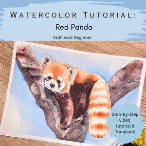 Op de afbeelding: Een aquarelschilderij van een rode panda die op een boomtak rust. De tekst luidt: WATERCOLOR TUTORIAL: Red Panda, Skill level: Beginner, Step-by-Step video tutorial & Template! De panda heeft roodbruine vacht en een gestreepte staart.