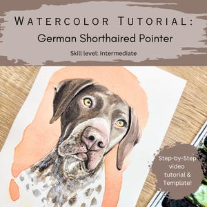 Può includere: Un dipinto ad acquerello di un bracco tedesco a pelo corto con pelo marrone e bianco su uno sfondo color pesca. Il testo recita: WATERCOLOR TUTORIAL: German Shorthaired Pointer, Skill level: Intermediate, Step-by-Step video tutorial & Template!