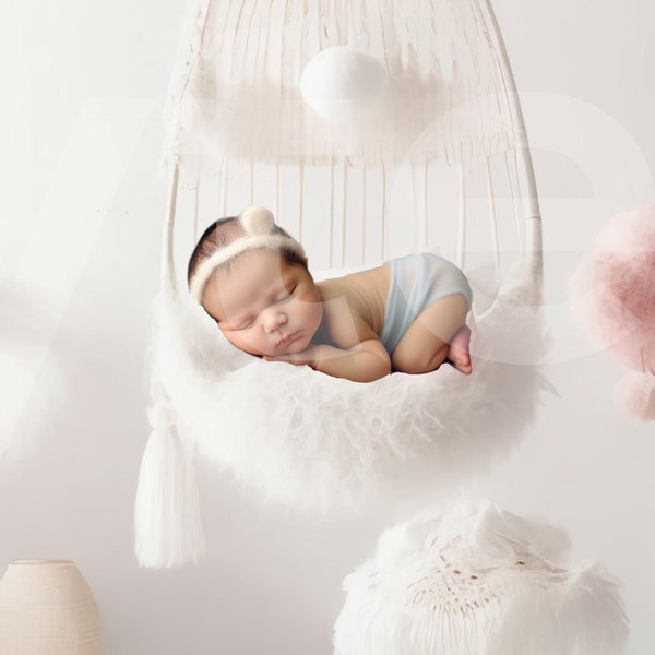 Chair Swing with Pampas Grass and Pom Poms, Photo Shoot Backdrop, Overlays, Studio Backdrop, Wedding & Maternity Backdrops