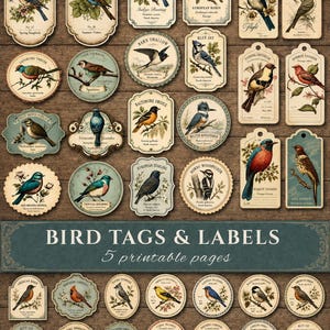 May include: A collection of vintage-style paper tags and labels featuring detailed illustrations of various bird species, including blue jays, robins, and swallows, with botanical accents and text labels on a dark wood background.