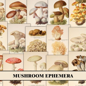 Mushroom Ephemera Pack, Printable Fall Junk Journal Kit, Printable Forest Junk Journal, Digital Paper, Junk Journal Kit, Ephemera Bundle
