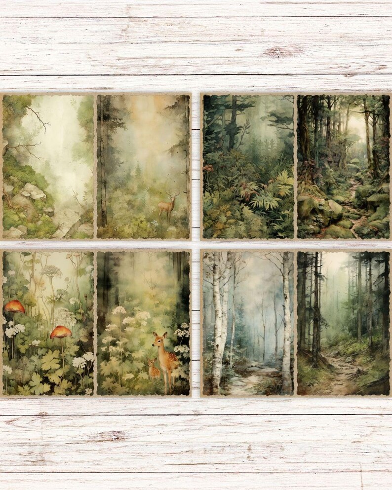 May include: A set of eight rectangular prints featuring forest scenes with deer, mushrooms, and dense foliage. The imagery includes misty woodland paths, birch trees, and lush greenery in shades of green, brown, and white with a vintage aesthetic.