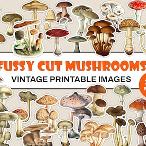 Fussy Cut Ephemera | Fussy Cut Mushrooms | Fungi Ephemera For Junk Journals | Mushroom Ephemera | Junk Journal Kits | fussy cuts