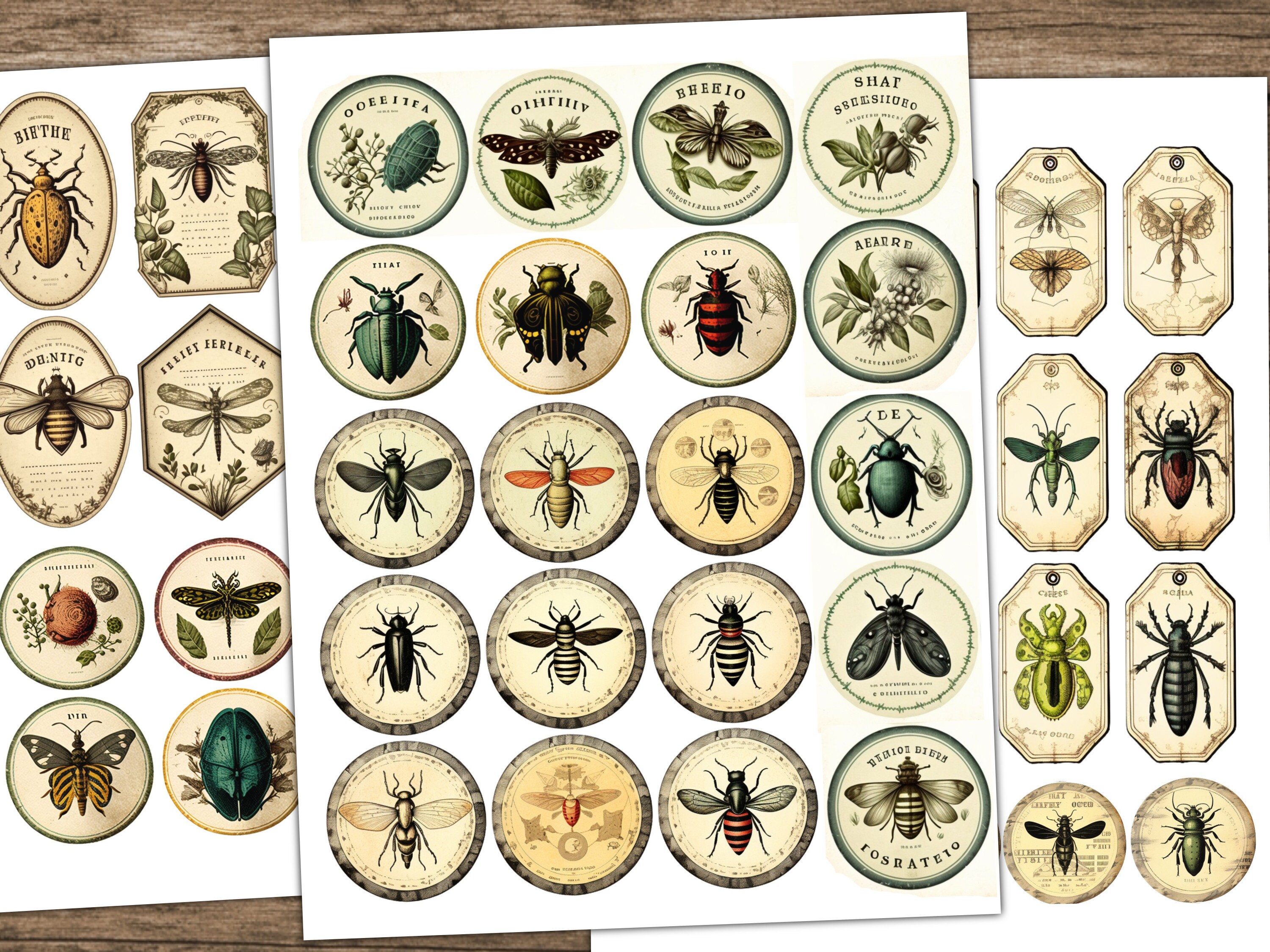 Junk Journal Ephemera Entomology Insect Butterfly Junk Journal Tags ...