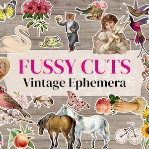 Fussy Cut Ephemera | 100+ Fussy Cuts | Ephemera Pack For Journals | Floral Fussy Cuts | Fussy Cut Digital Kit For Junk Journals