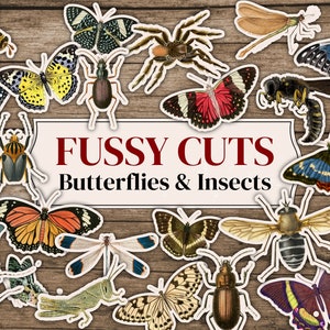Fussy Cut Butterflies & Insects | 70 Fussy Cuts| Fussy Cut Digital Printable Sheets| Fussy Cut Ephemera For Junk Journals and Scrapbooking