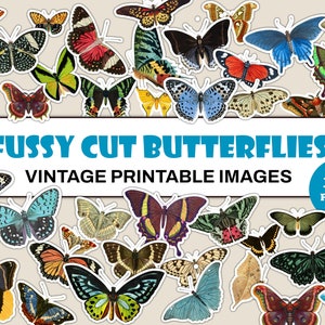 Fussy Cut Schmetterlinge | 150 pingelig geschnittene Schmetterlingsbilder| Fussy Cut Digitale Blätter| Fussy Cut Ephemera für Junk Journals| Schmetterlinge Ephemera