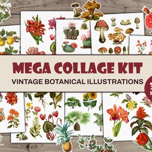 Botanische Pingelschnittbilder | Über 300 Blumen, Früchte, Pilze und Grün | Druckbare Zeitschriften für Collagen | Ephemera Vintage-Garten