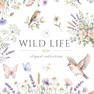 Wildflower Watercolor Clipart, Floral Arrangements PNG, Birds and Butterflies, Meadow Flowers, Botanical Frames, Cottage Garden Clipart Set