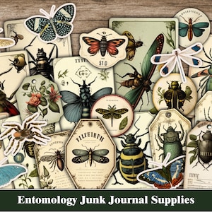 Insectes Papillons Junk Journal Ephemera Entomologie Insecte Papillon Difficile Coupes Junk Journal Tags Étiquettes Botanique Nature Forest Kit