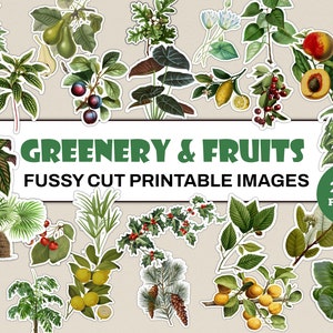 Fussy Cut Greenery & Fruits | 240 Printable Fussy Cut Greenery Images For Junk Journals | Digital Fussy Cut Greenery | Botanical Fussy Cut