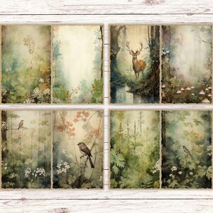 May include: A set of eight rectangular paper cards featuring watercolor-style illustrations of forest scenes, including a deer standing by a stream, various small birds perched on branches, wildflowers, mushrooms, and dense green foliage.